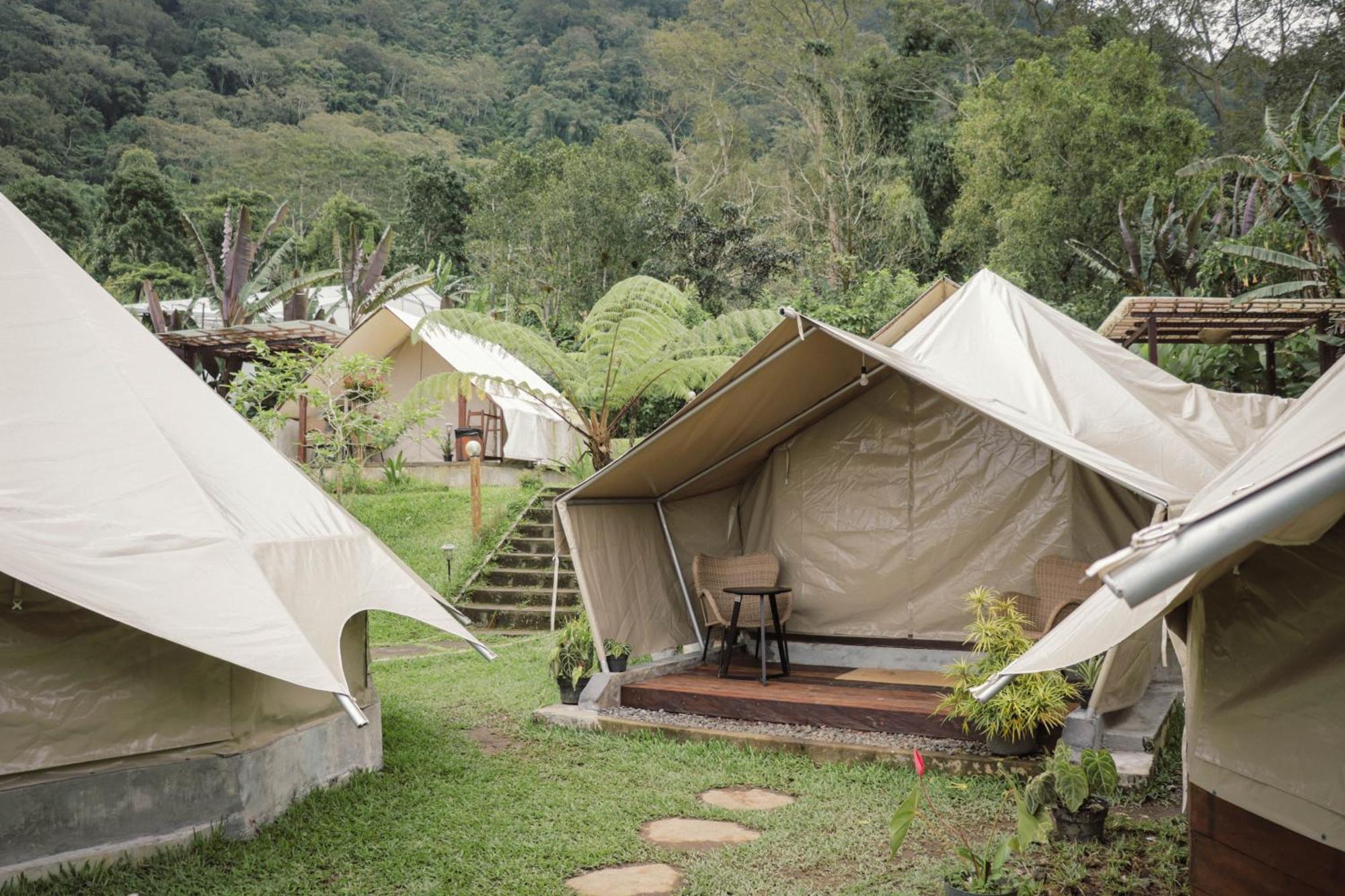 Alamu Eco Lodge بيدوغول المظهر الخارجي الصورة