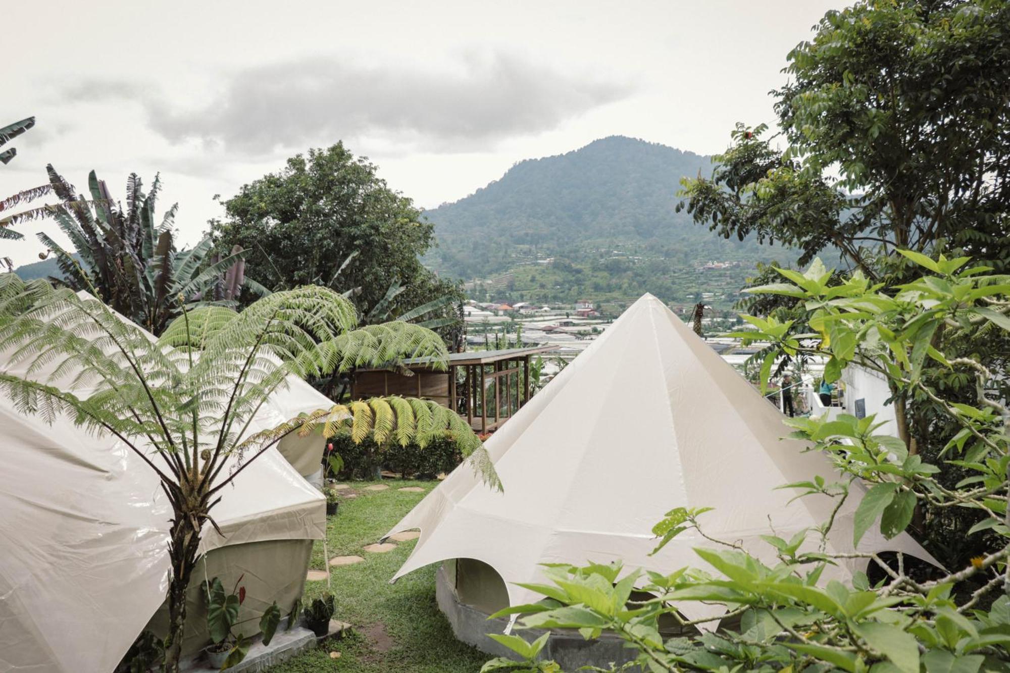 Alamu Eco Lodge بيدوغول المظهر الخارجي الصورة