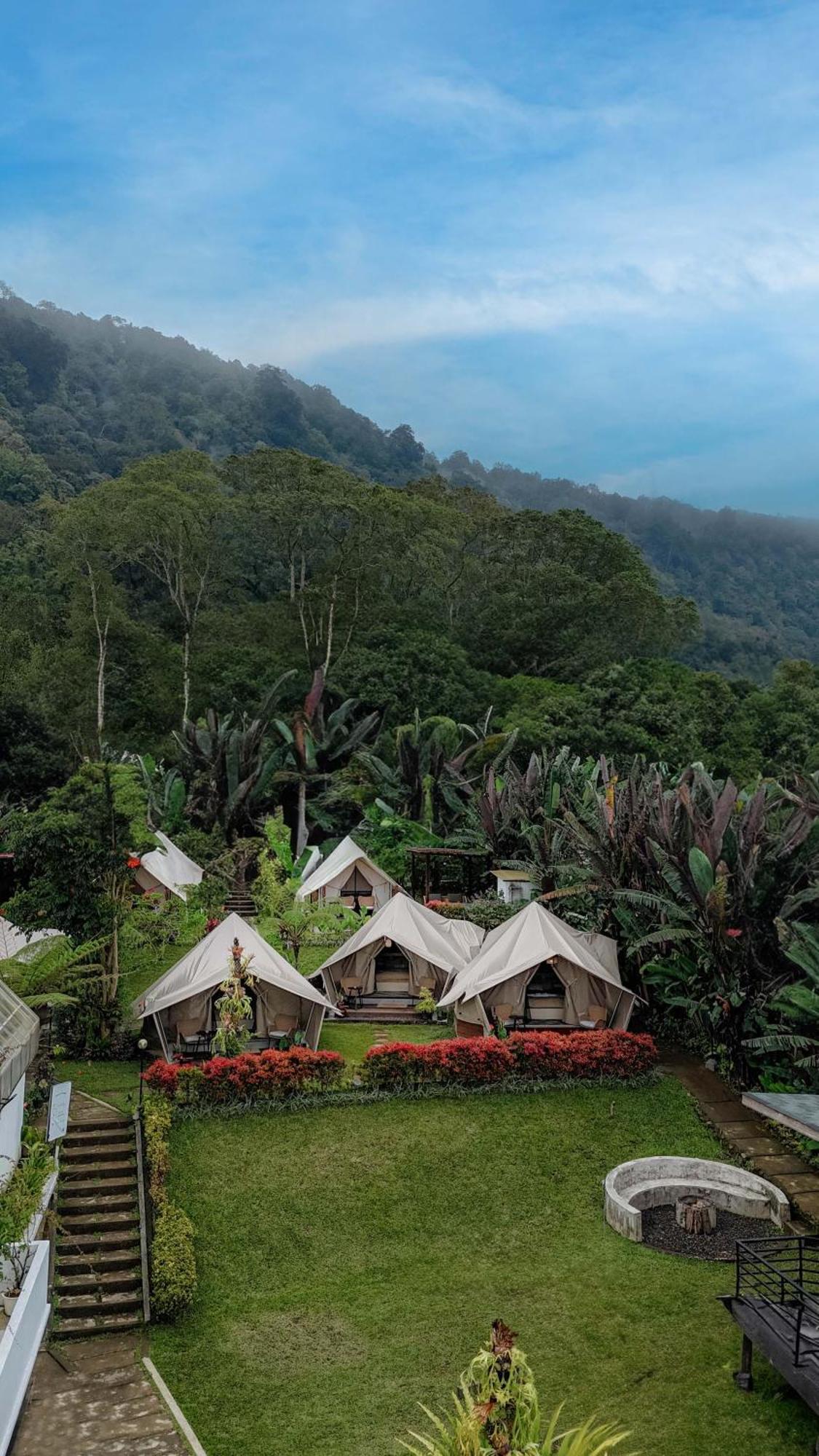 Alamu Eco Lodge بيدوغول المظهر الخارجي الصورة