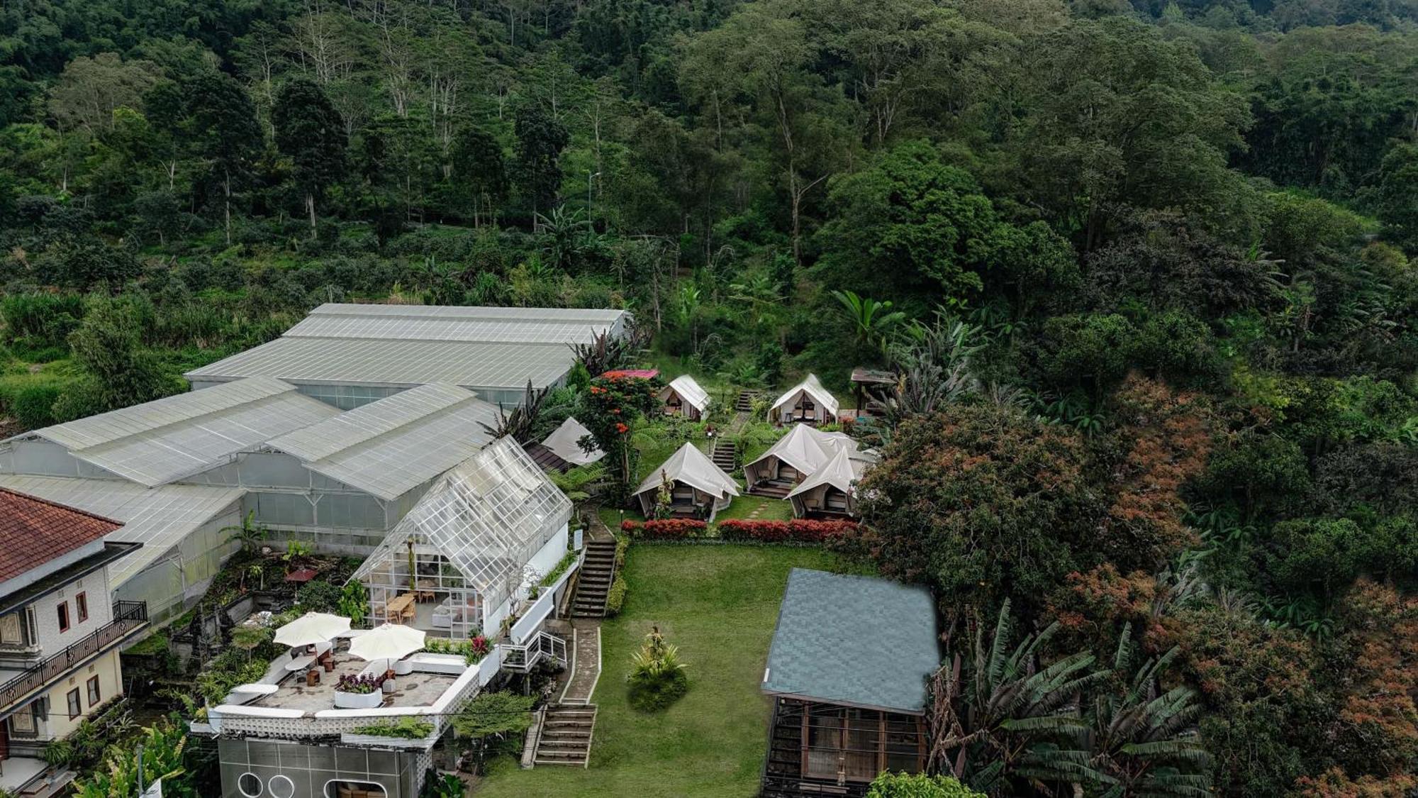 Alamu Eco Lodge بيدوغول المظهر الخارجي الصورة