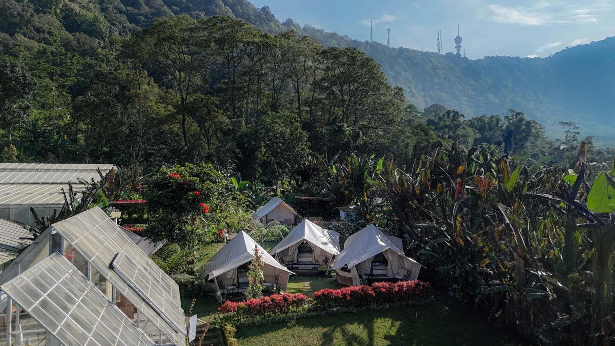 Alamu Eco Lodge بيدوغول المظهر الخارجي الصورة