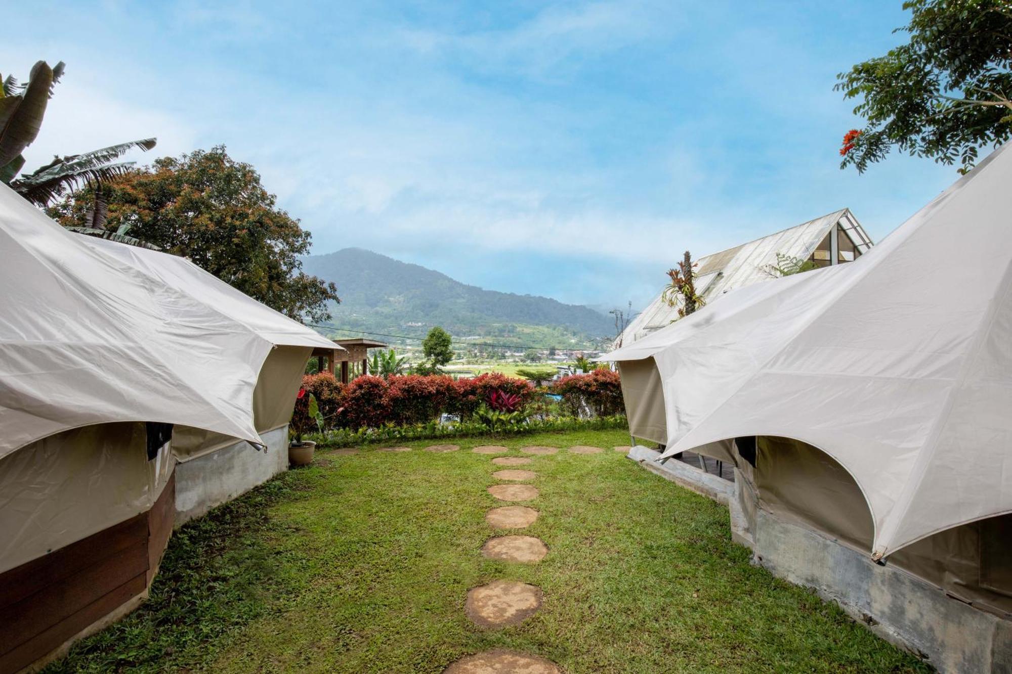 Alamu Eco Lodge بيدوغول المظهر الخارجي الصورة