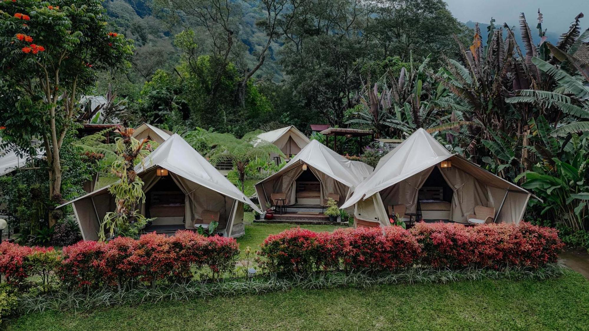 Alamu Eco Lodge بيدوغول المظهر الخارجي الصورة