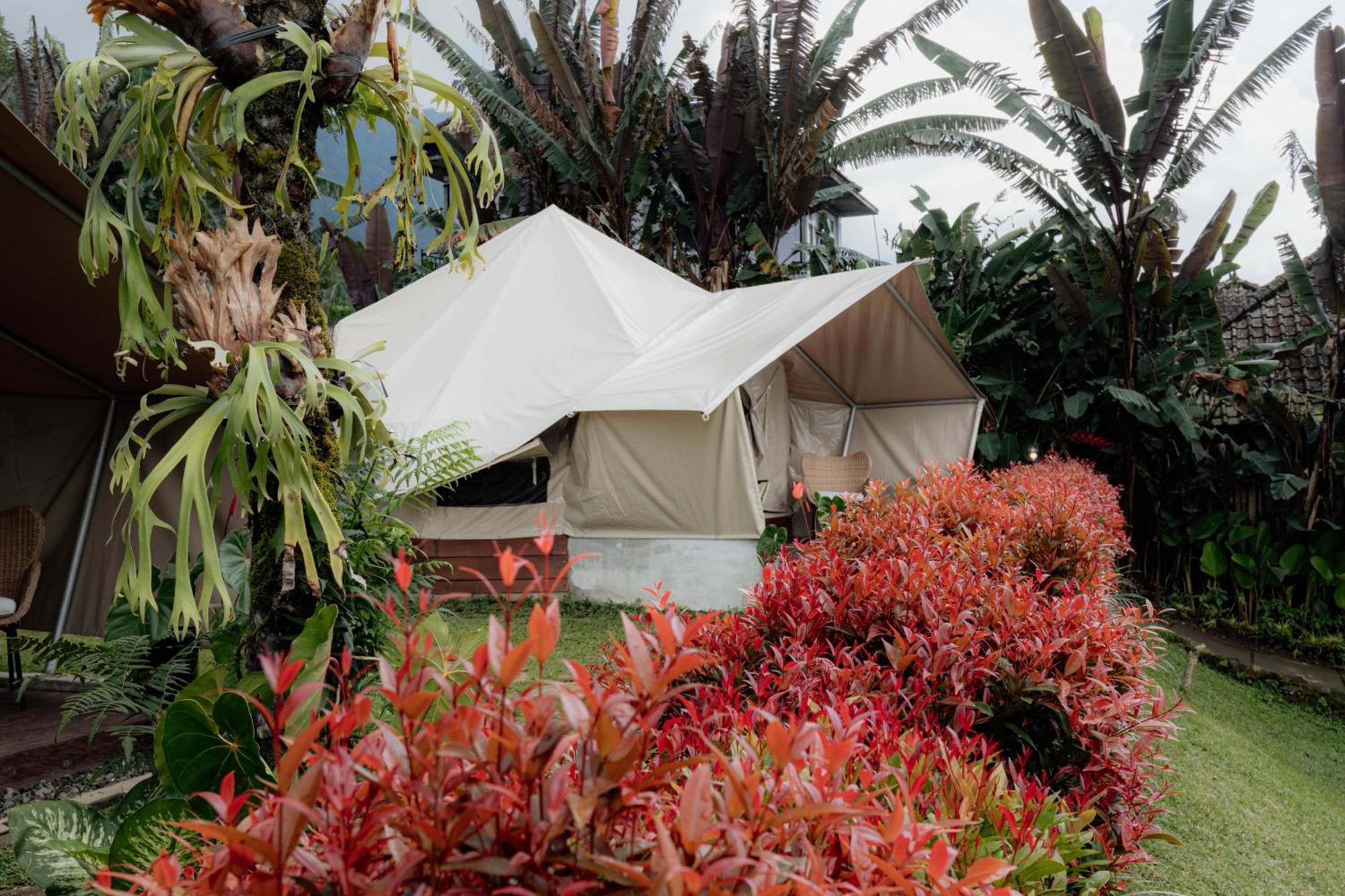 Alamu Eco Lodge بيدوغول المظهر الخارجي الصورة
