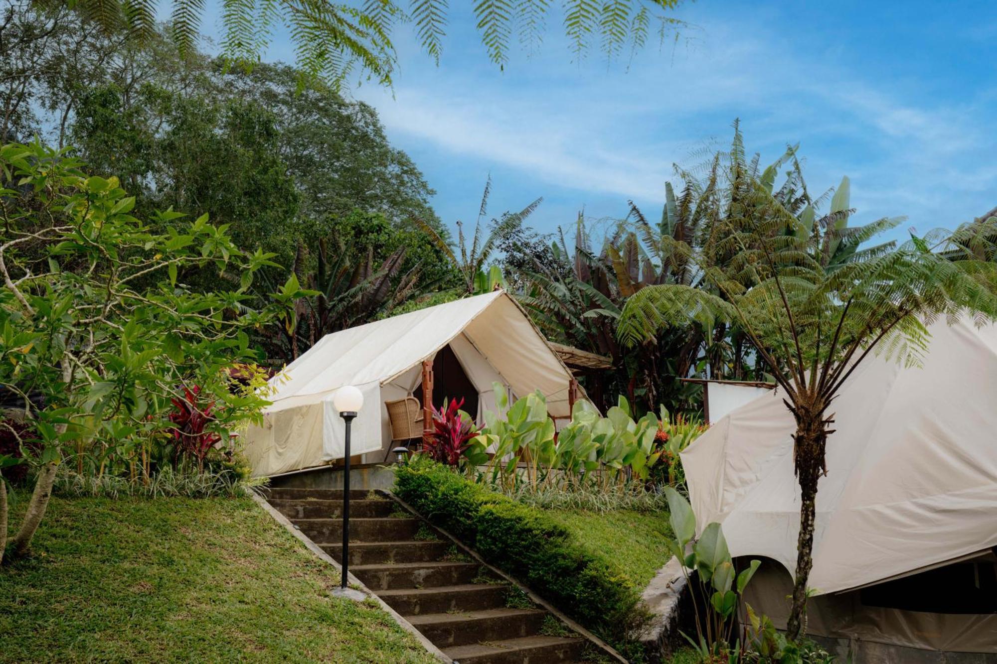 Alamu Eco Lodge بيدوغول المظهر الخارجي الصورة