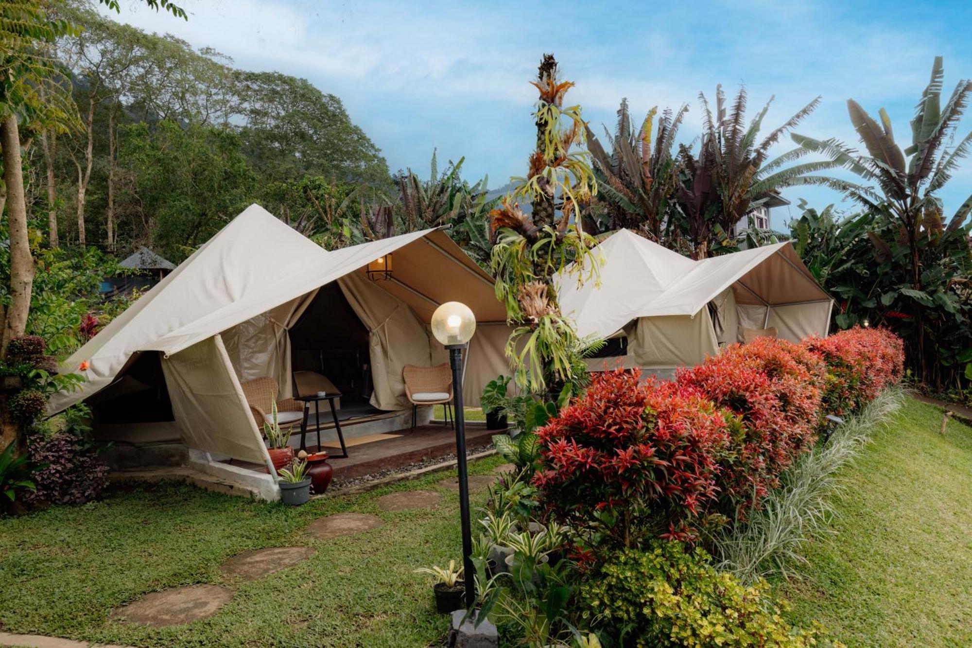 Alamu Eco Lodge بيدوغول المظهر الخارجي الصورة